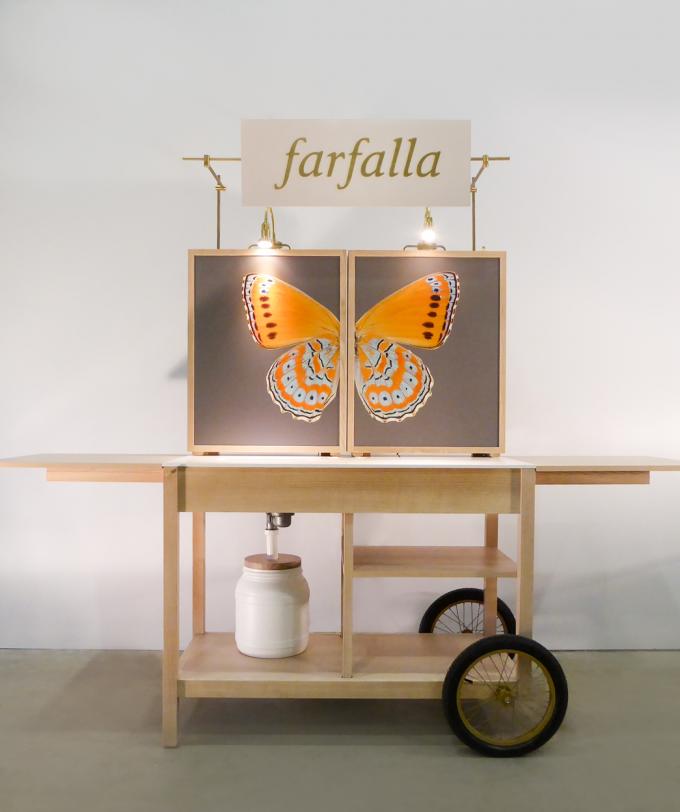 Farfalla Bilder Medium 07